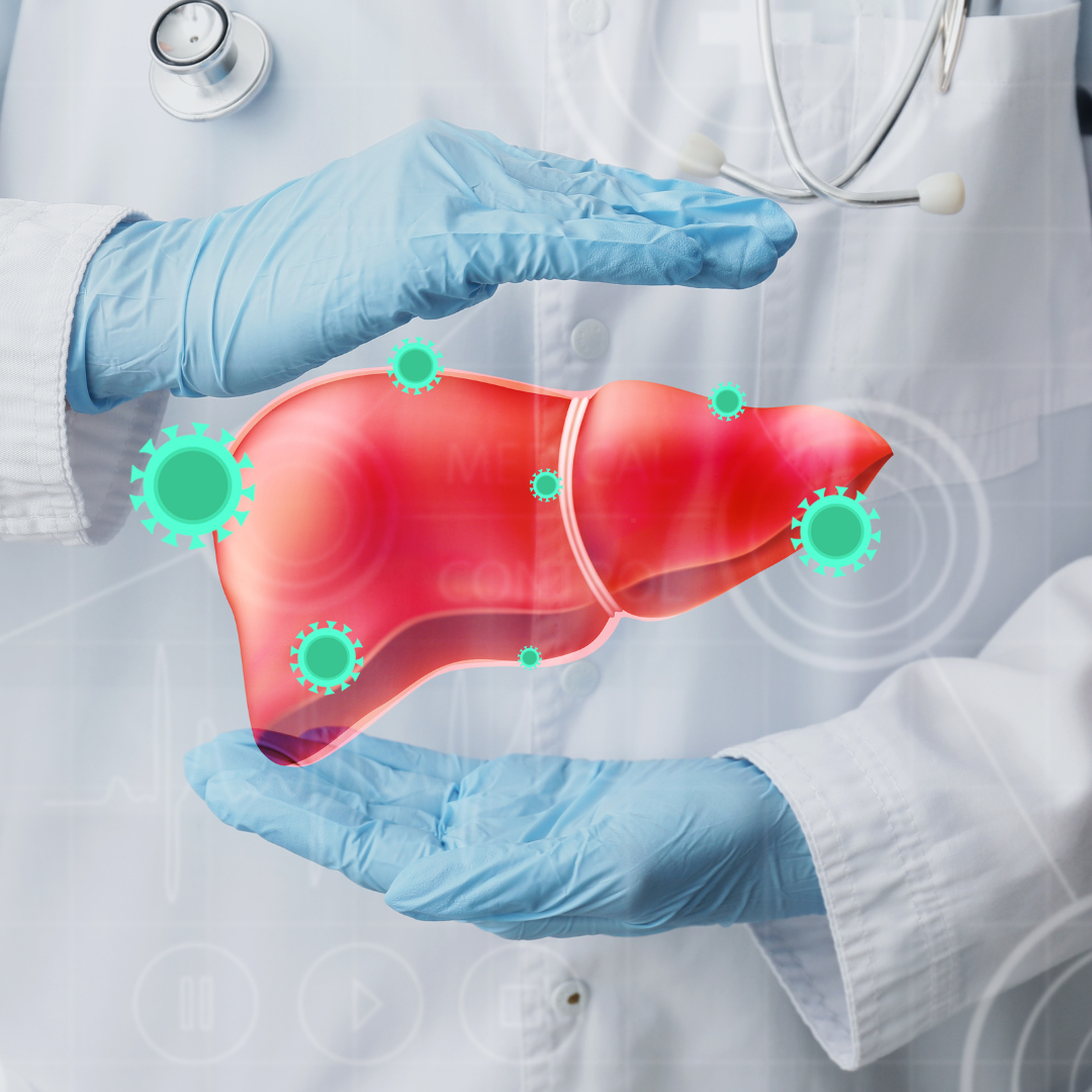 LIVER-IMG1-1